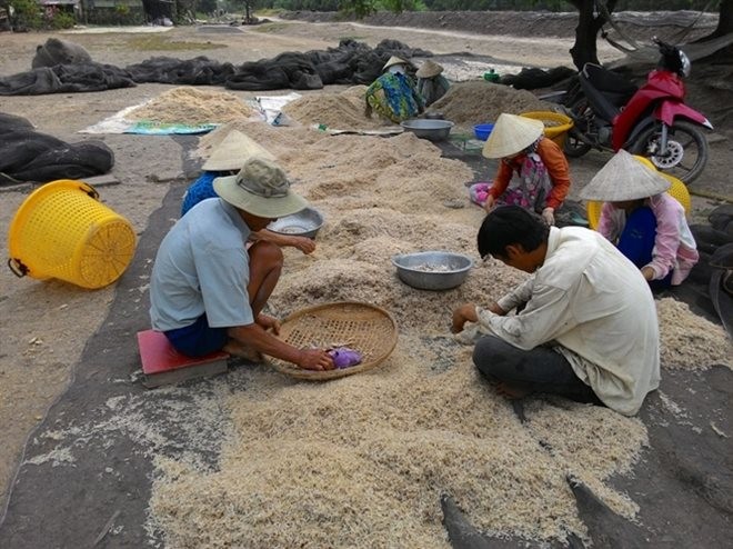 Hot bac moi ngay voi nghe khai thac 